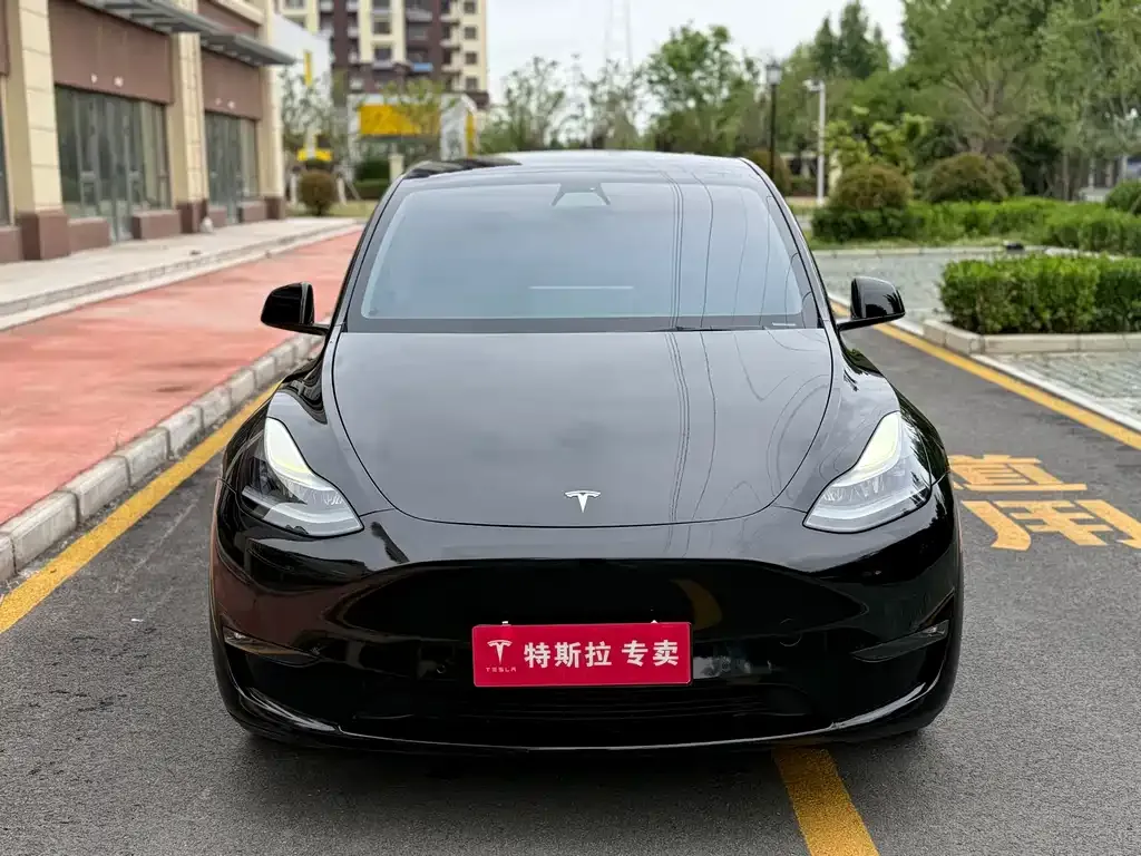 Tesla Model Y — фото 6