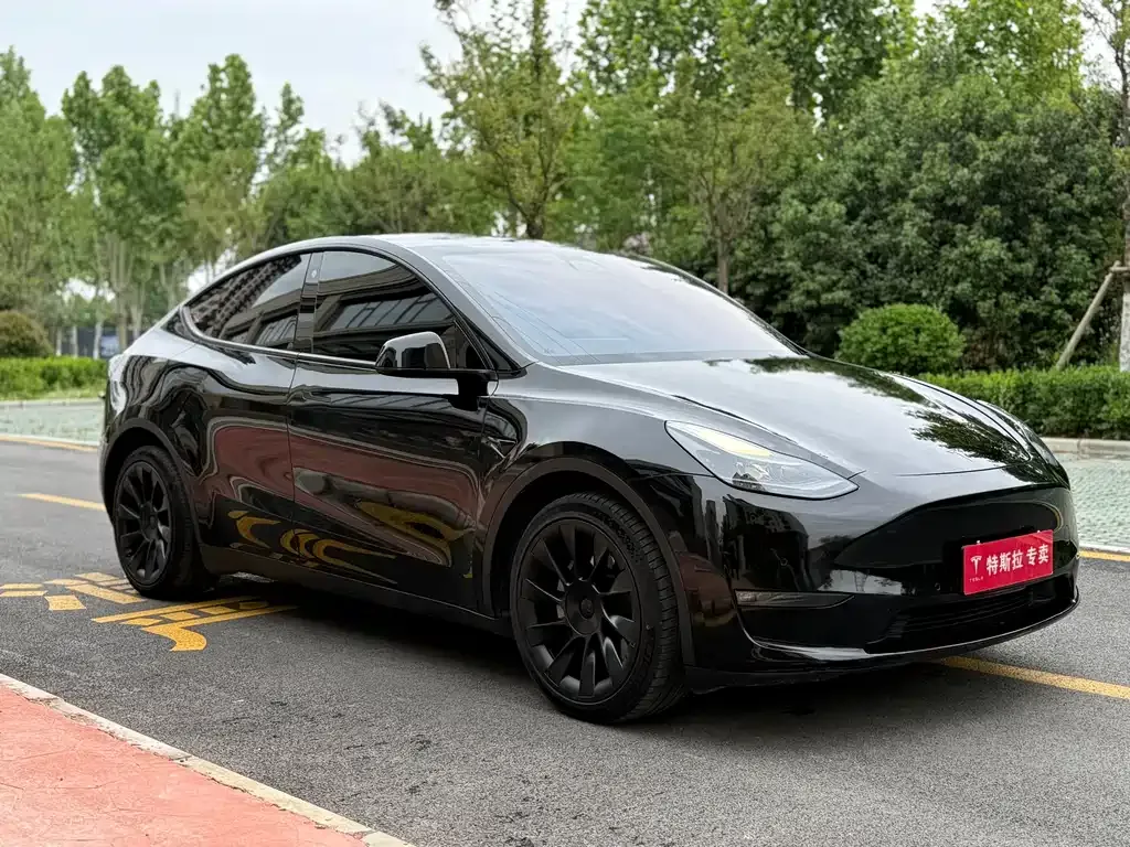 Tesla Model Y — фото 7
