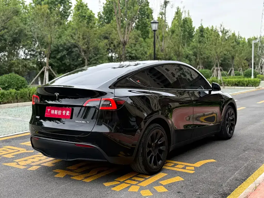 Tesla Model Y — фото 4