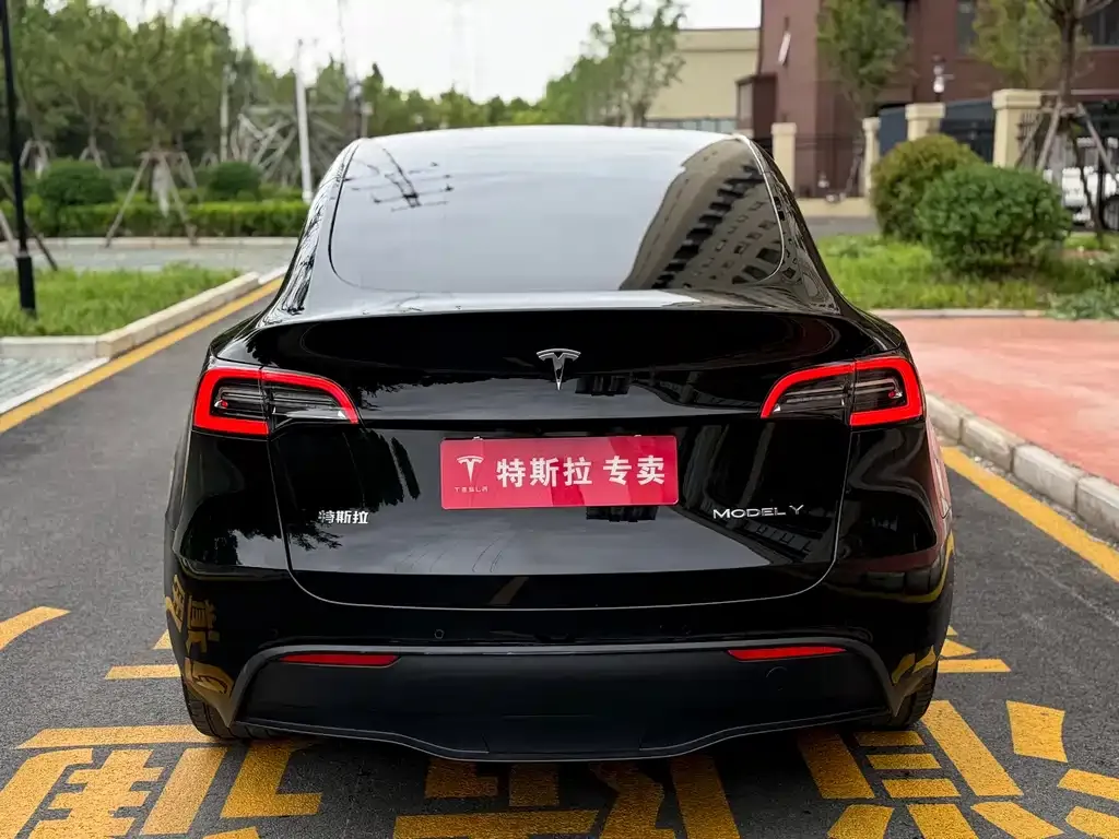 Tesla Model Y — фото 5
