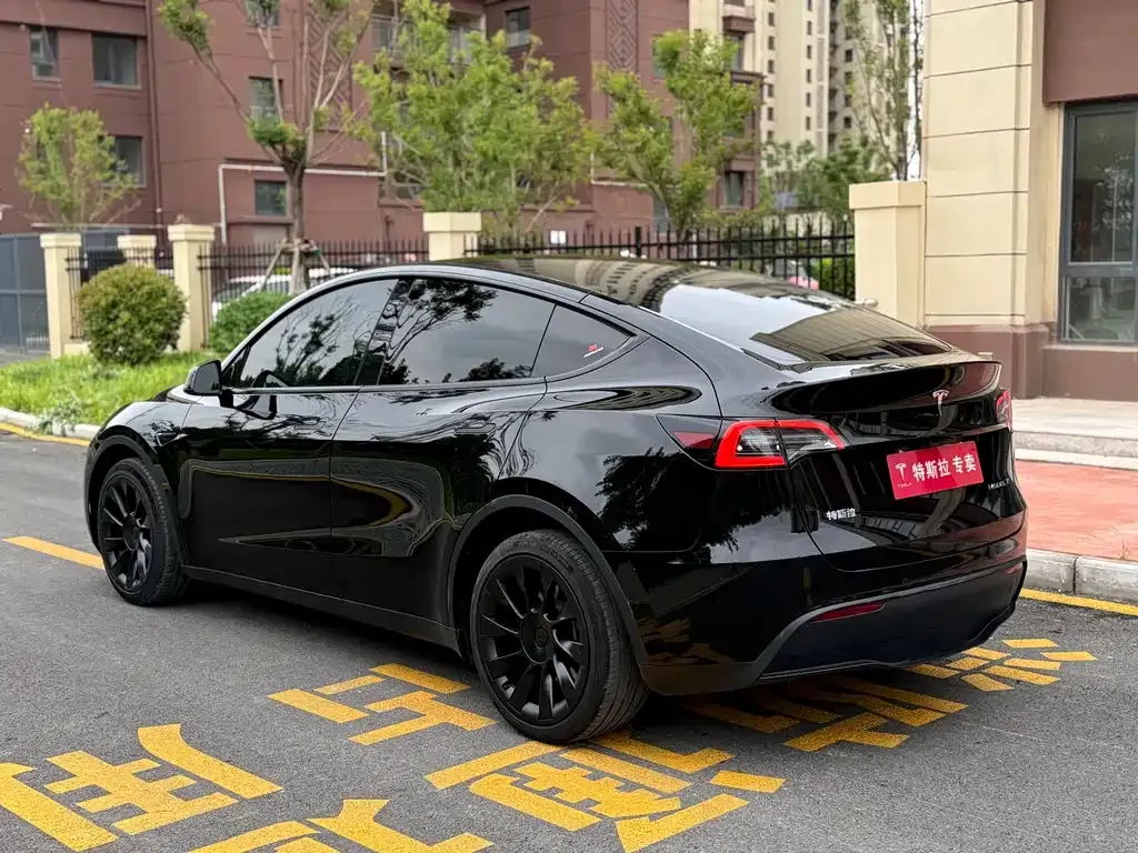 Tesla Model Y — фото 8