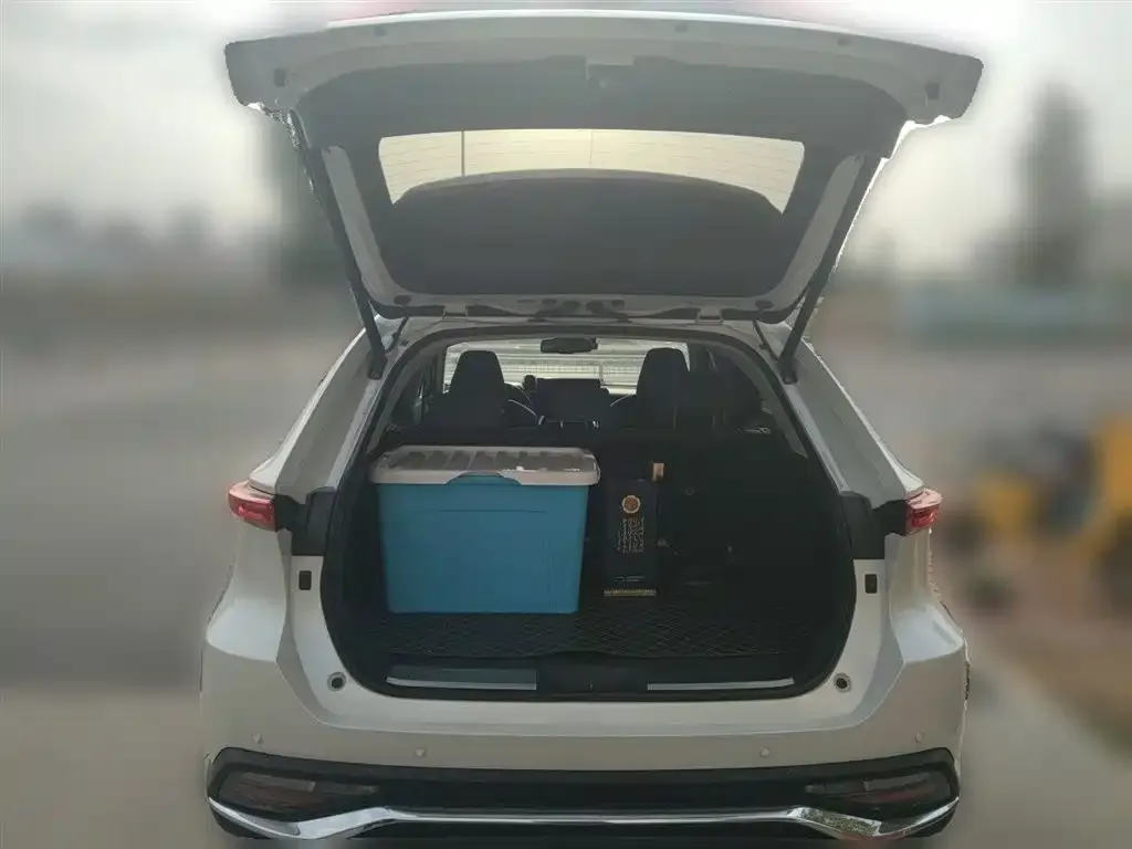 Toyota Harrier 2023 из CN, фото 6