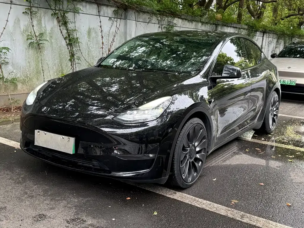 Tesla Model Y — фото 1