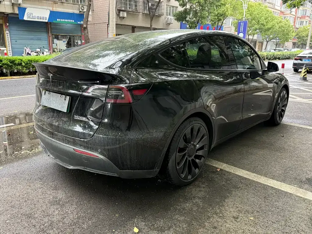 Tesla Model Y — фото 6