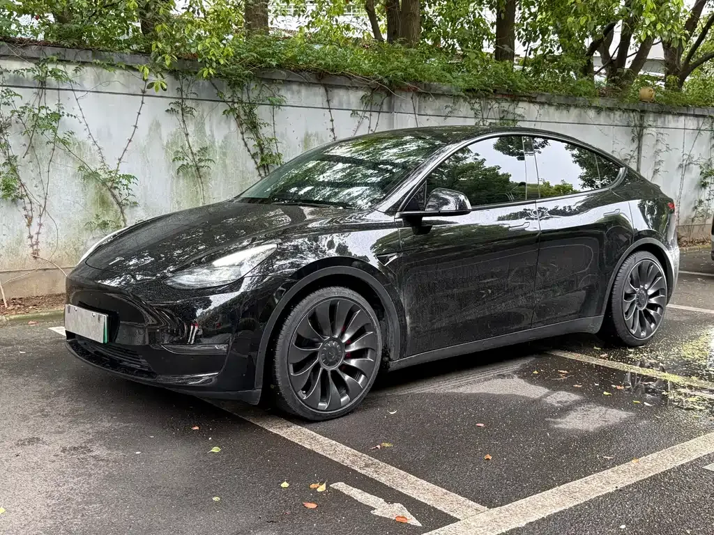 Tesla Model Y — фото 8