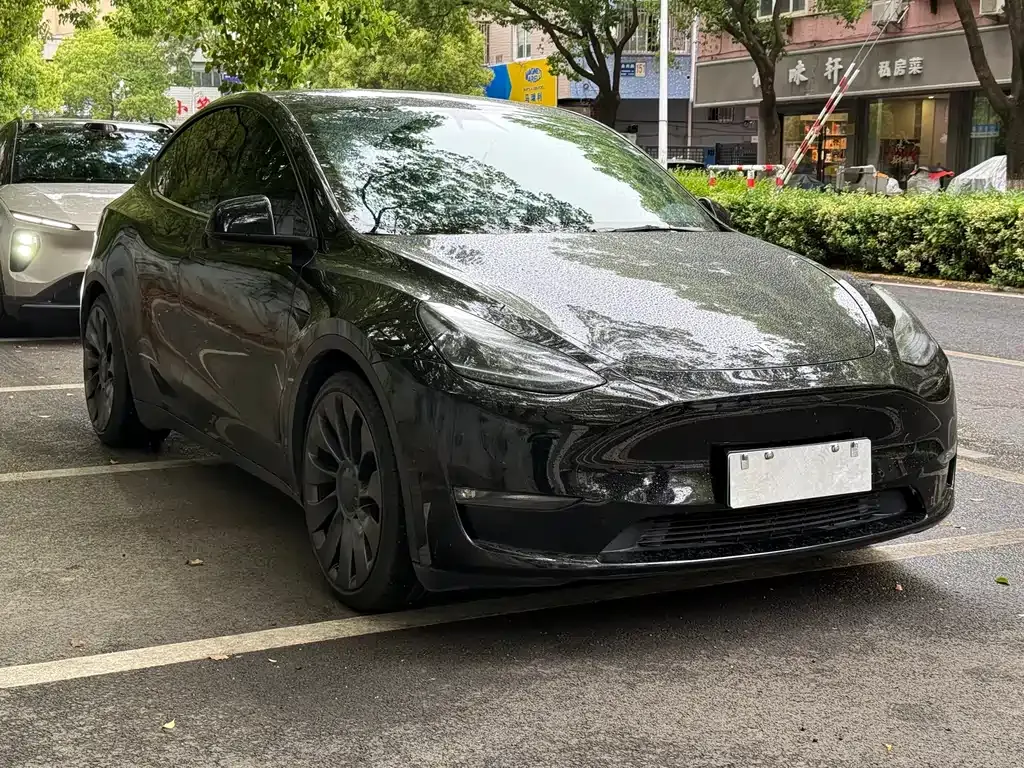 Tesla Model Y — фото 10