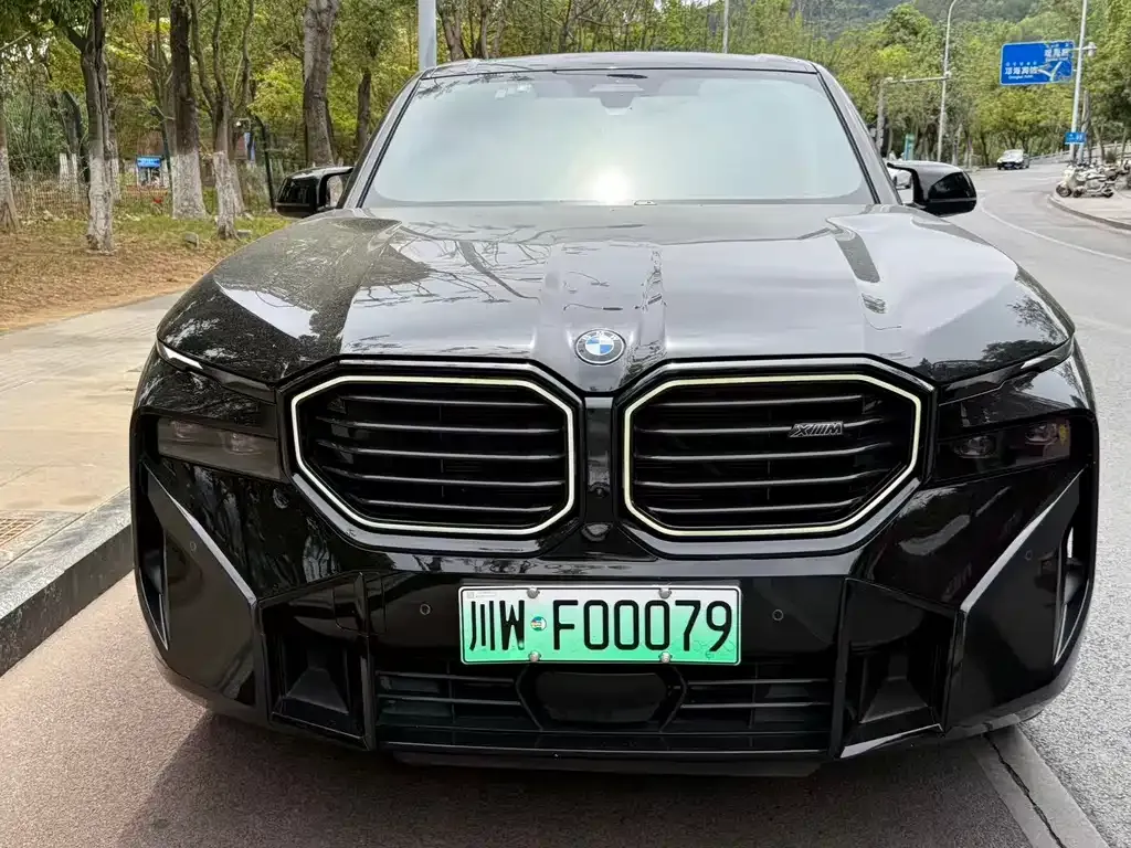 BMW XM 2024 из CN, фото 6