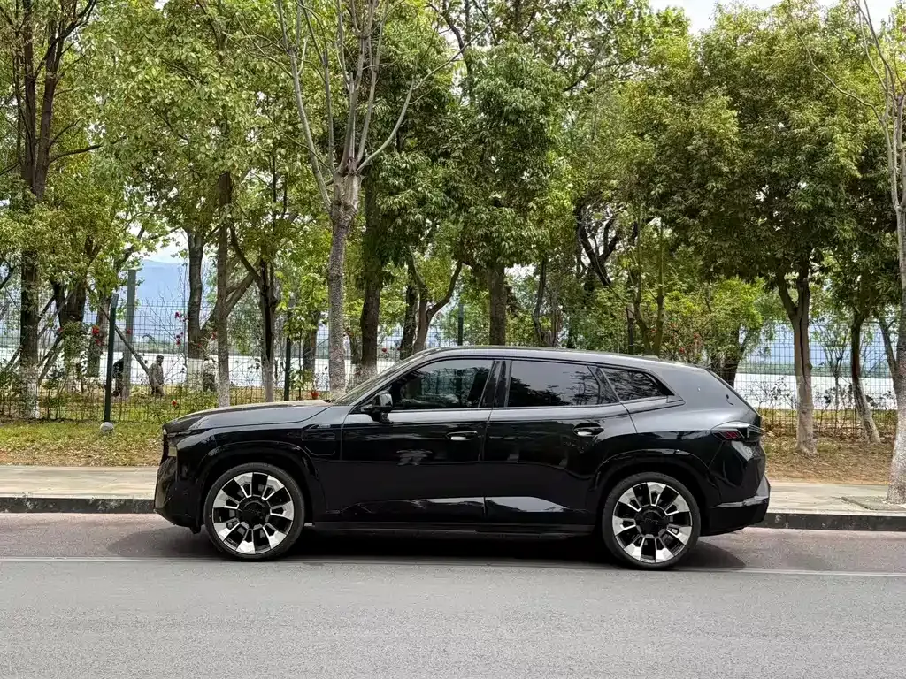 BMW XM 2024 из CN, фото 9