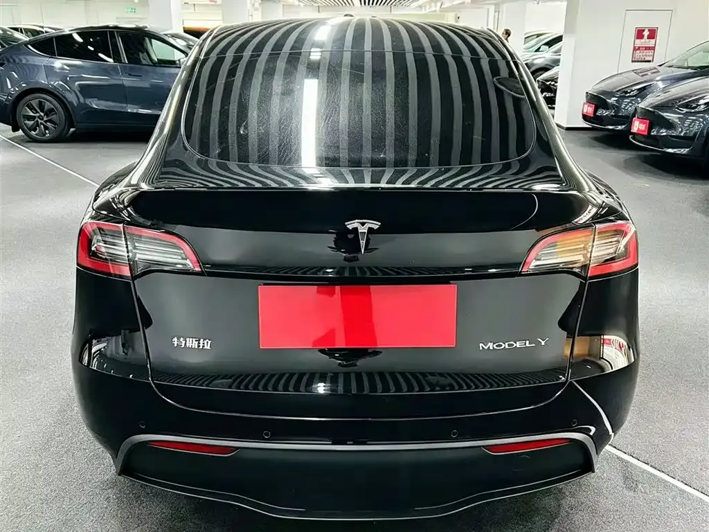 Tesla Model Y — фото 5