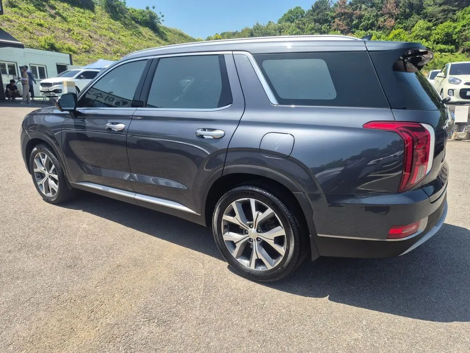 Hyundai Palisade 2022 из KR, фото 6