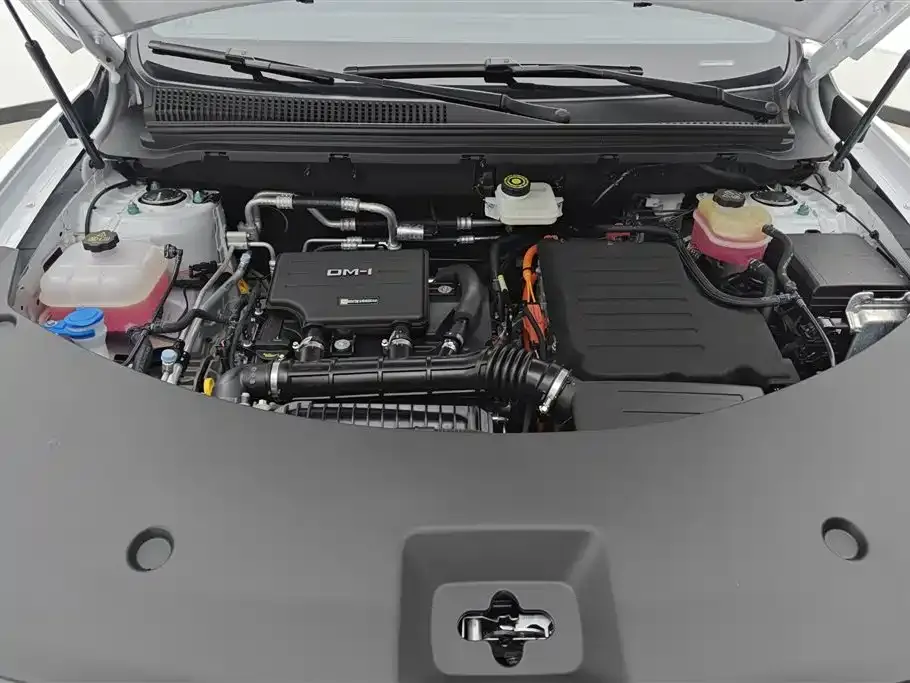BYD Pro New Energy — фото 10