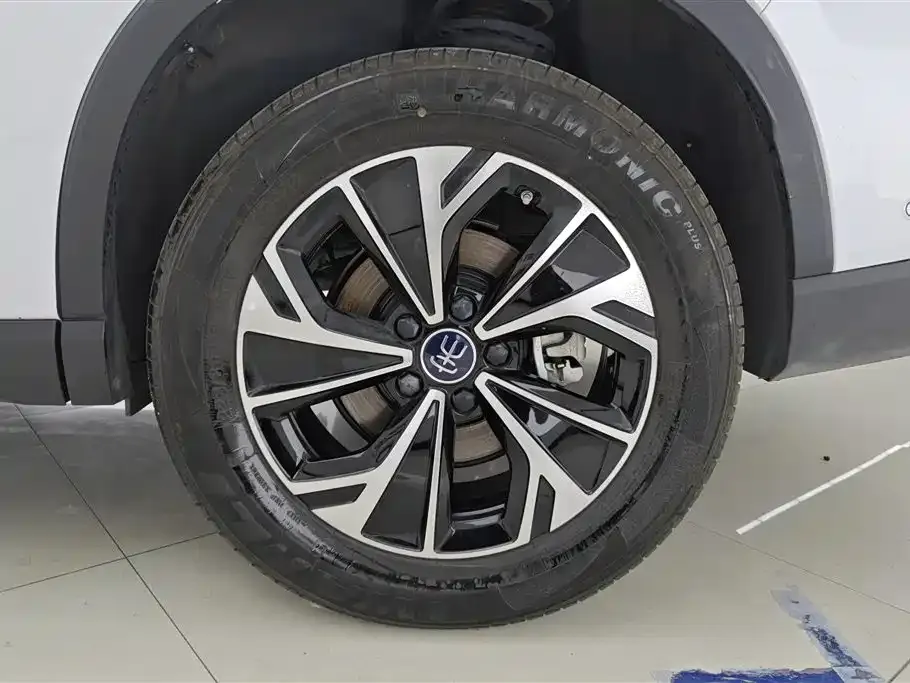 BYD Pro New Energy — фото 7