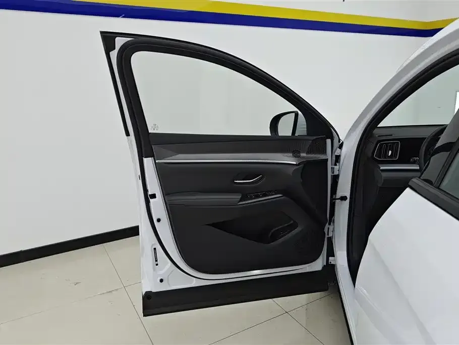 BYD Pro New Energy — фото 5