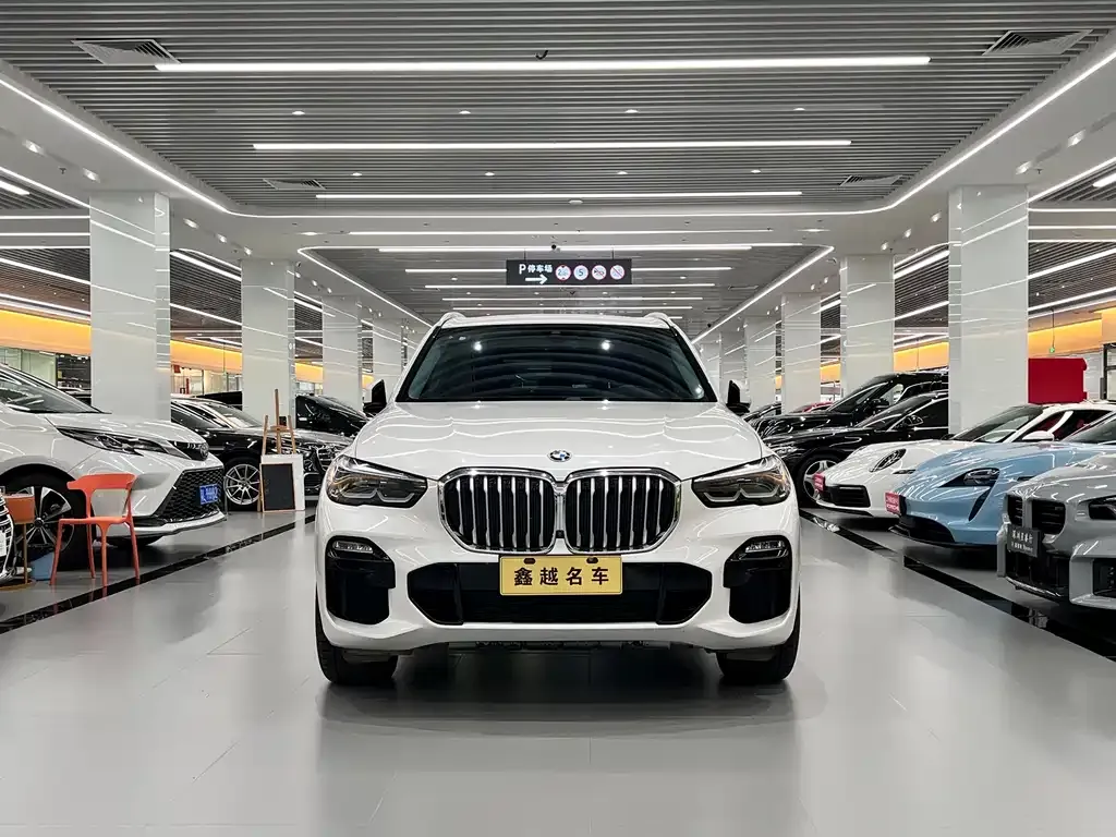 BMW X5 (Import) 2021 из CN, фото 7