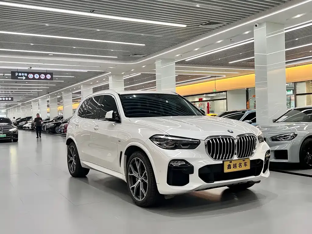BMW X5 (Import) 2021 из CN, фото 10