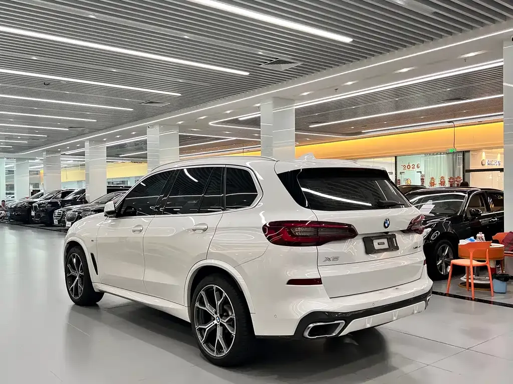 BMW X5 (Import) 2021 из CN, фото 8