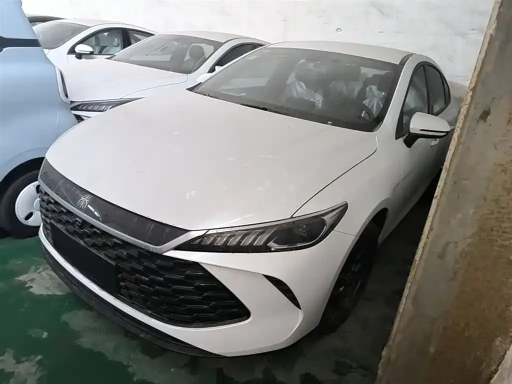 BYD Qin PLUS — фото 4