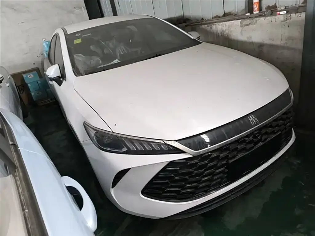BYD Qin PLUS — фото 10