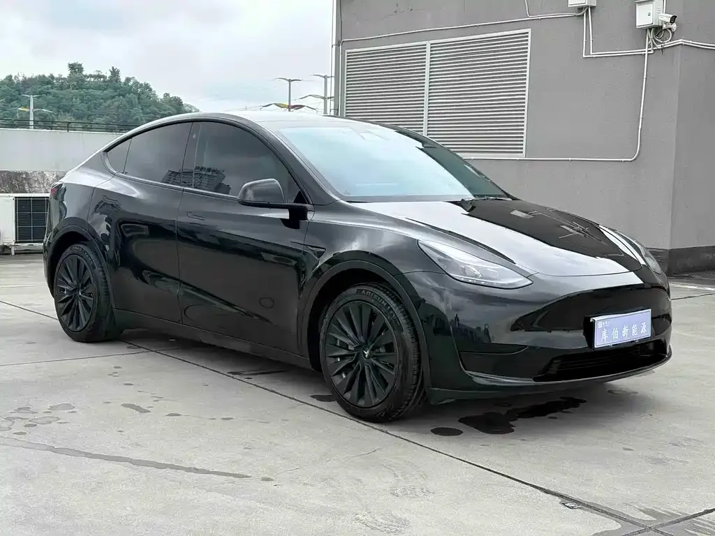 Tesla Model Y — фото 7