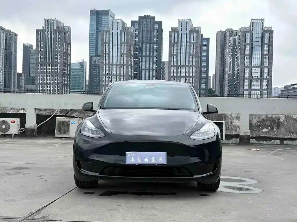 Tesla Model Y — фото 3