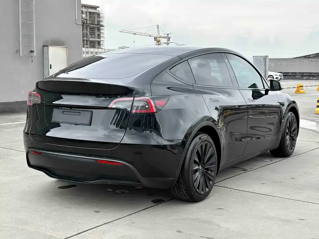 Tesla Model Y — фото 9
