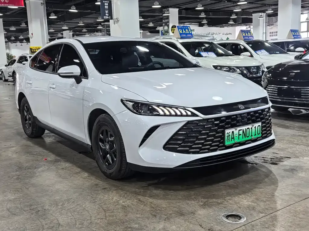 BYD Qin PLUS — фото 7