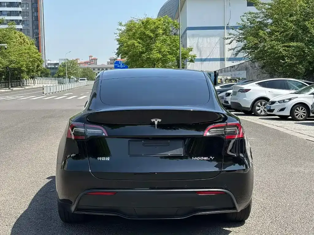 Tesla Model Y — фото 5