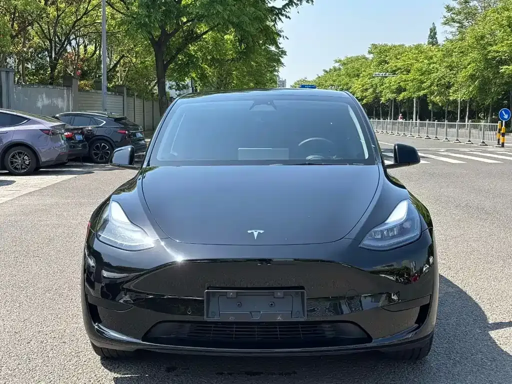 Tesla Model Y — фото 9