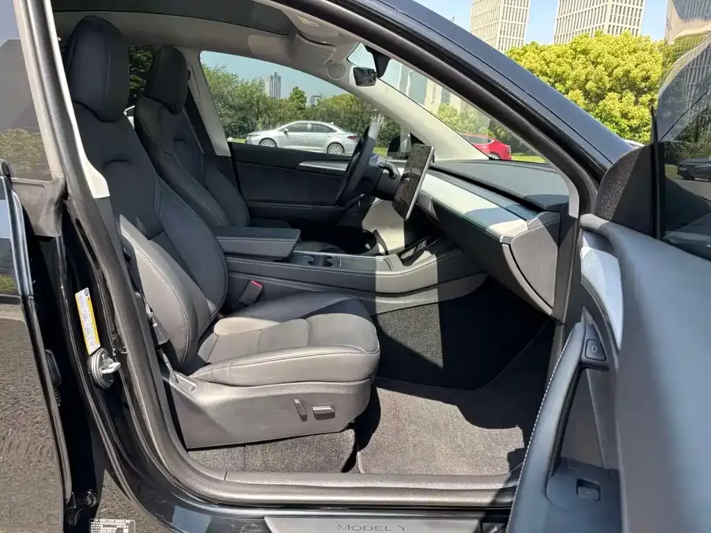 Tesla Model Y — фото 6