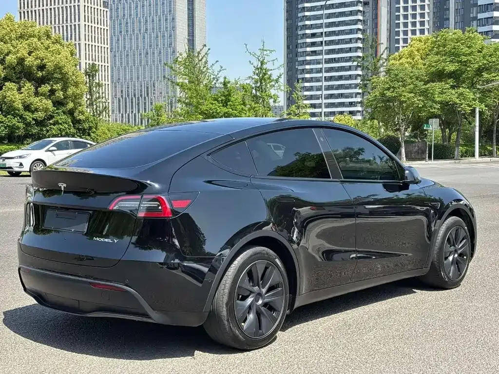 Tesla Model Y — фото 8