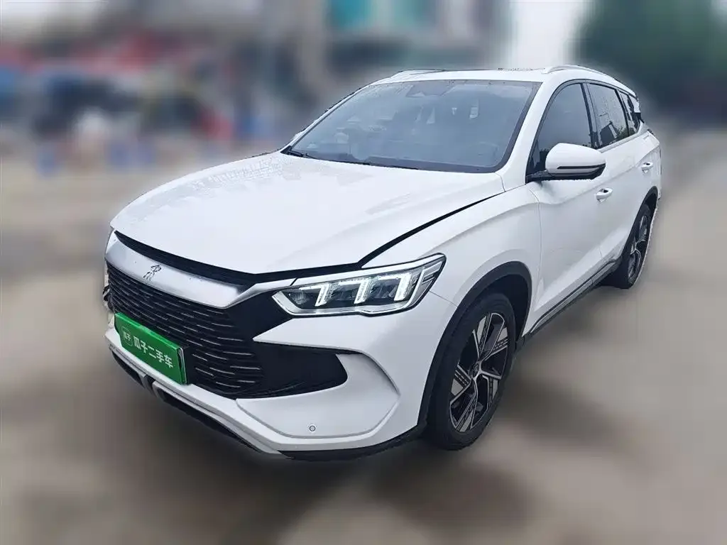 BYD Pro New Energy — фото 1