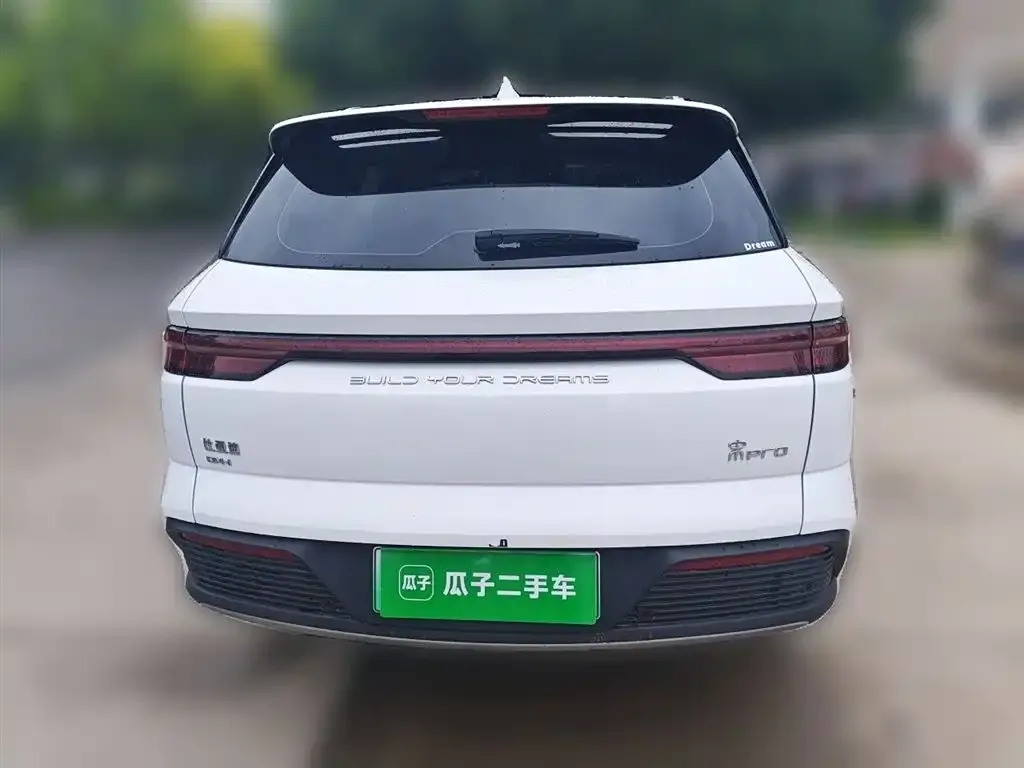 BYD Pro New Energy — фото 4