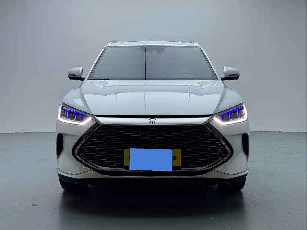 BYD PLUS New Energy — фото 8