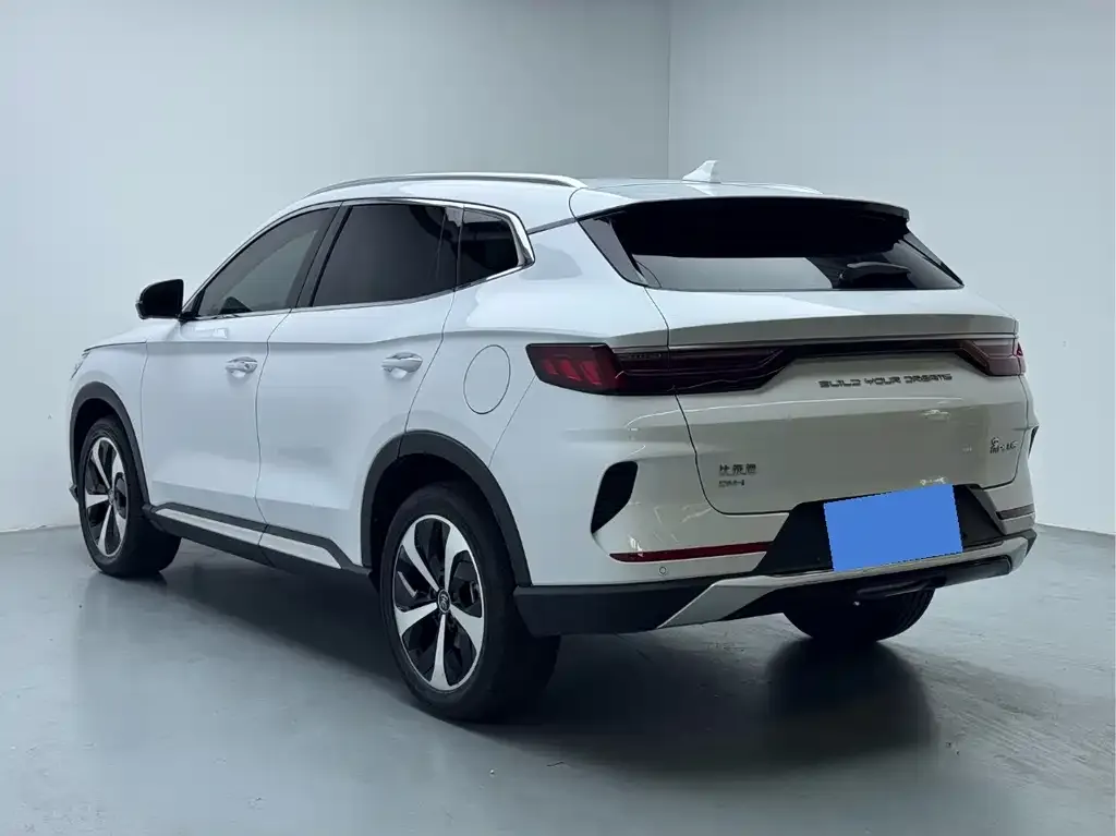 BYD PLUS New Energy — фото 3