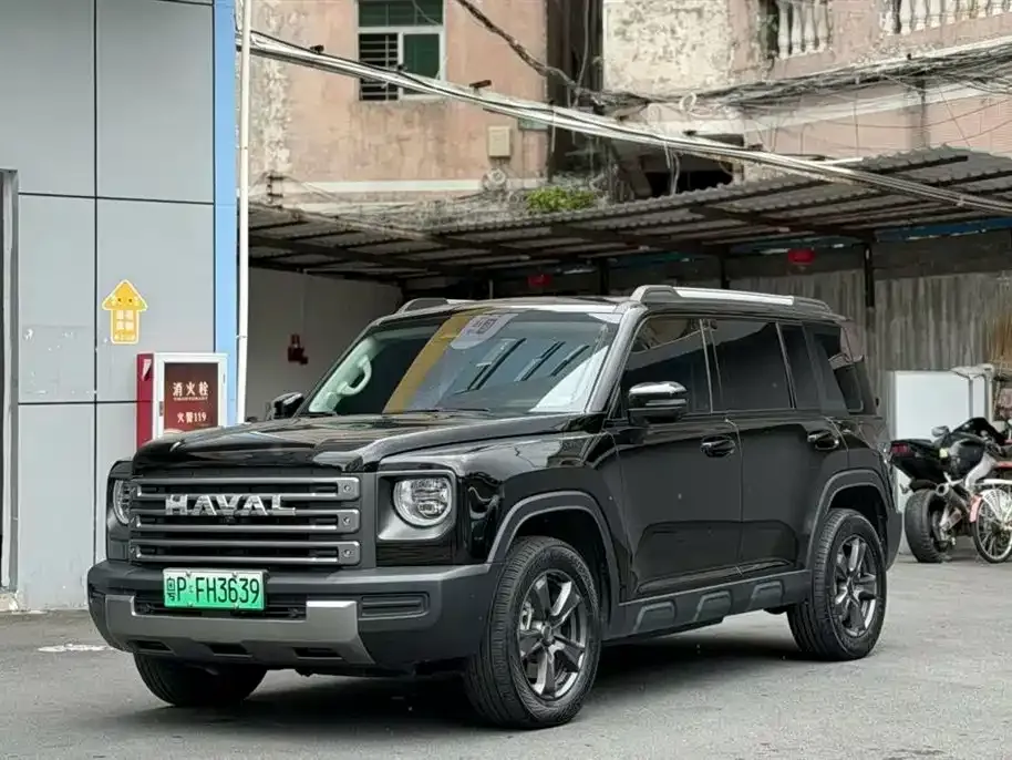 Haval Menglong New Energy — фото 1