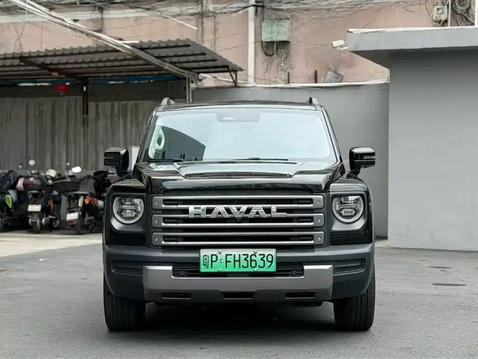 Haval Menglong New Energy — фото 10