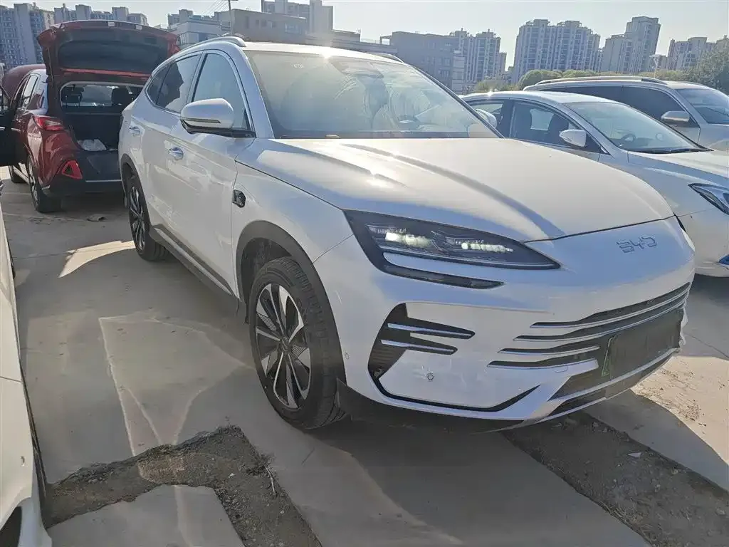BYD PLUS New Energy — фото 5