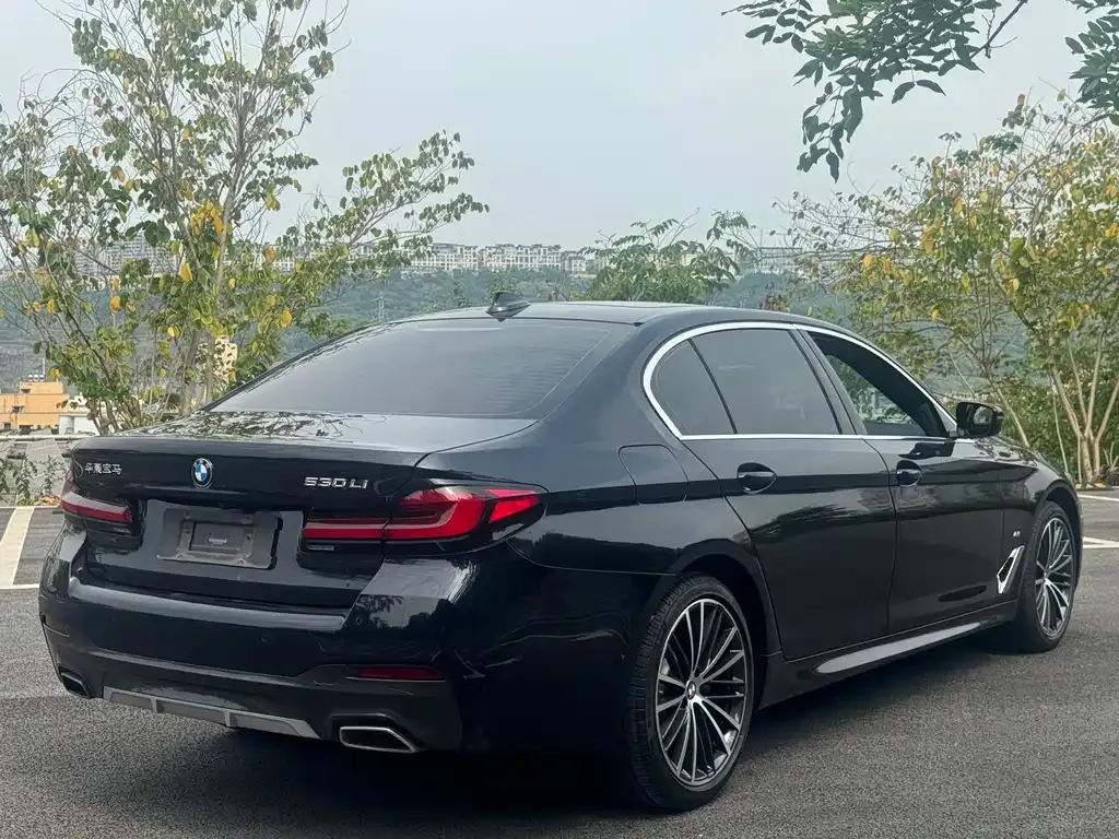 BMW 5 Series — фото 5