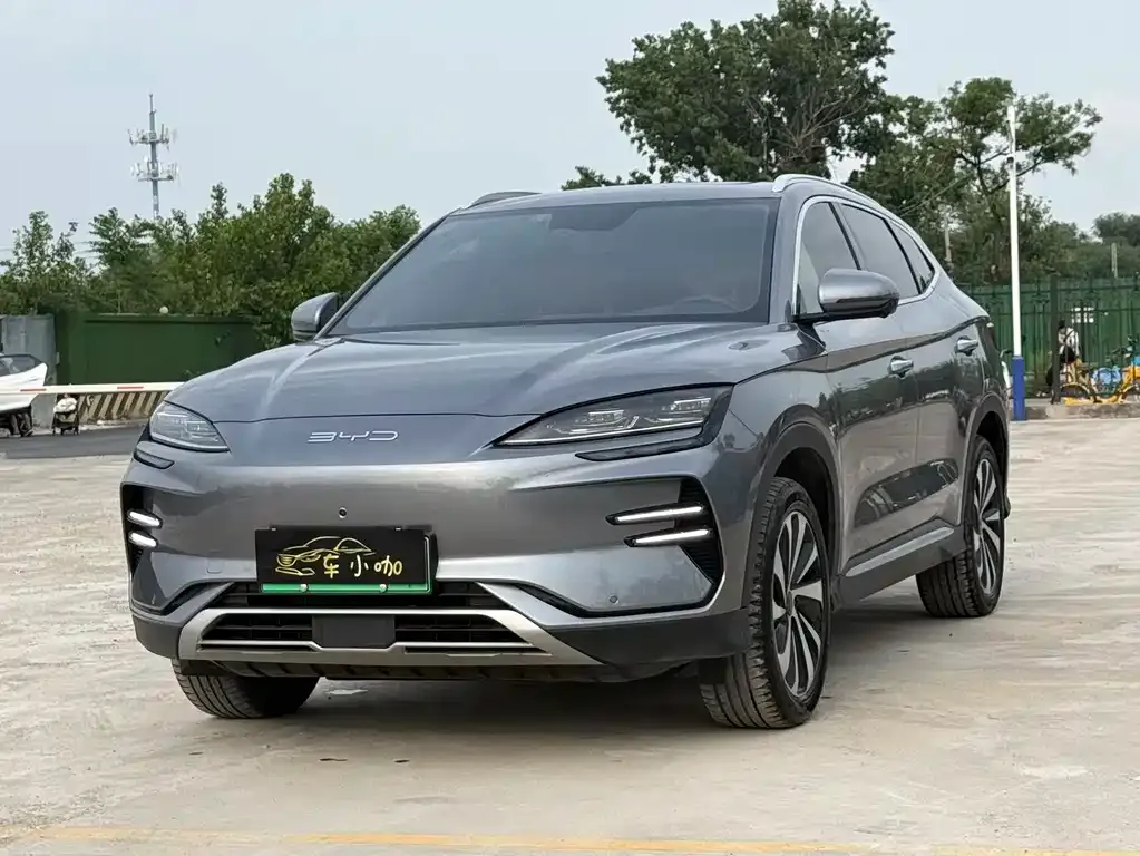 BYD PLUS New Energy — фото 1
