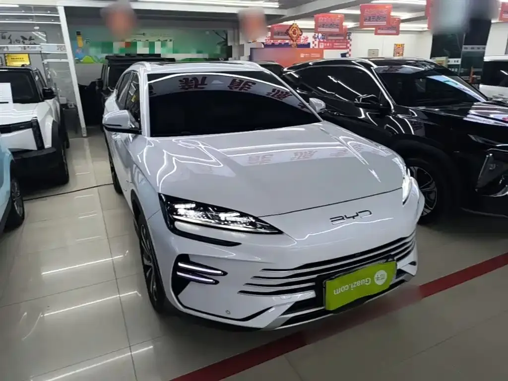 BYD PLUS New Energy — фото 7