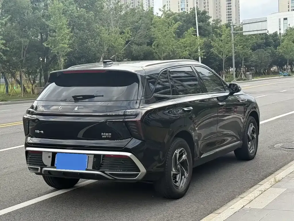 Hongqi HS3 2023 из CN, фото 8