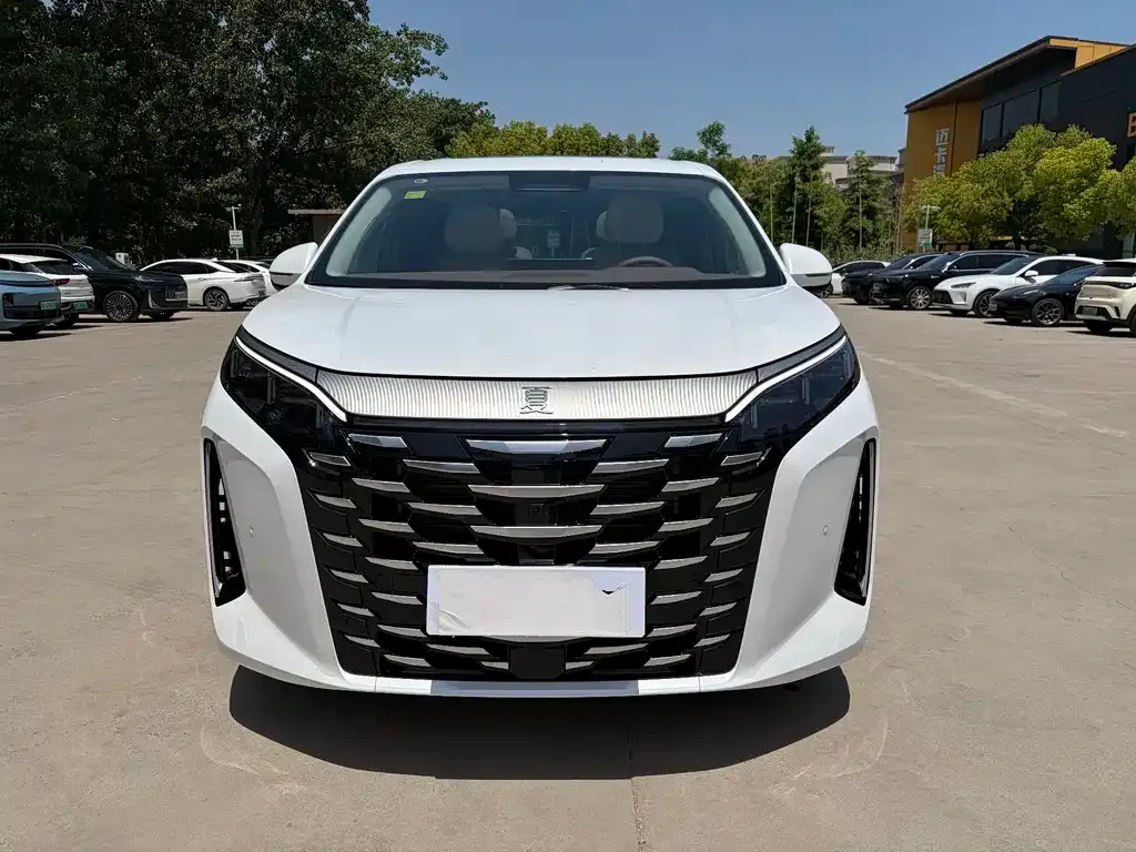 BYD Xia 2025 из CN, фото 4