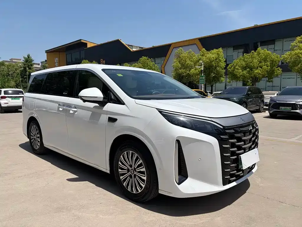 BYD Xia 2025 из CN, фото 5