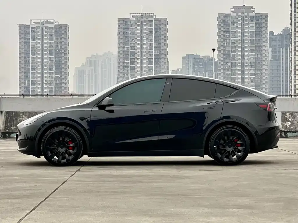 Tesla Model Y — фото 4