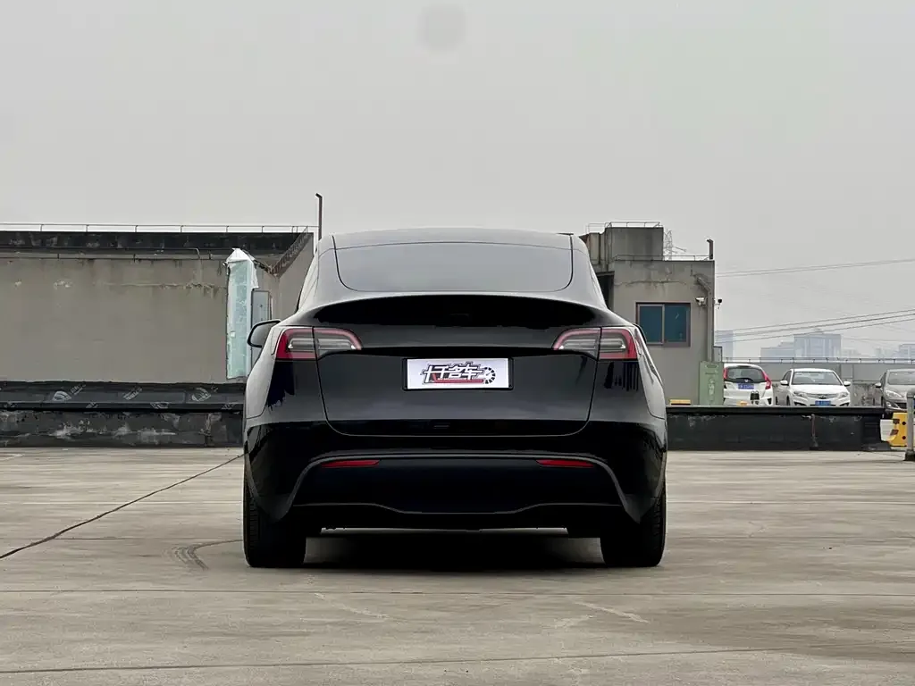 Tesla Model Y — фото 6