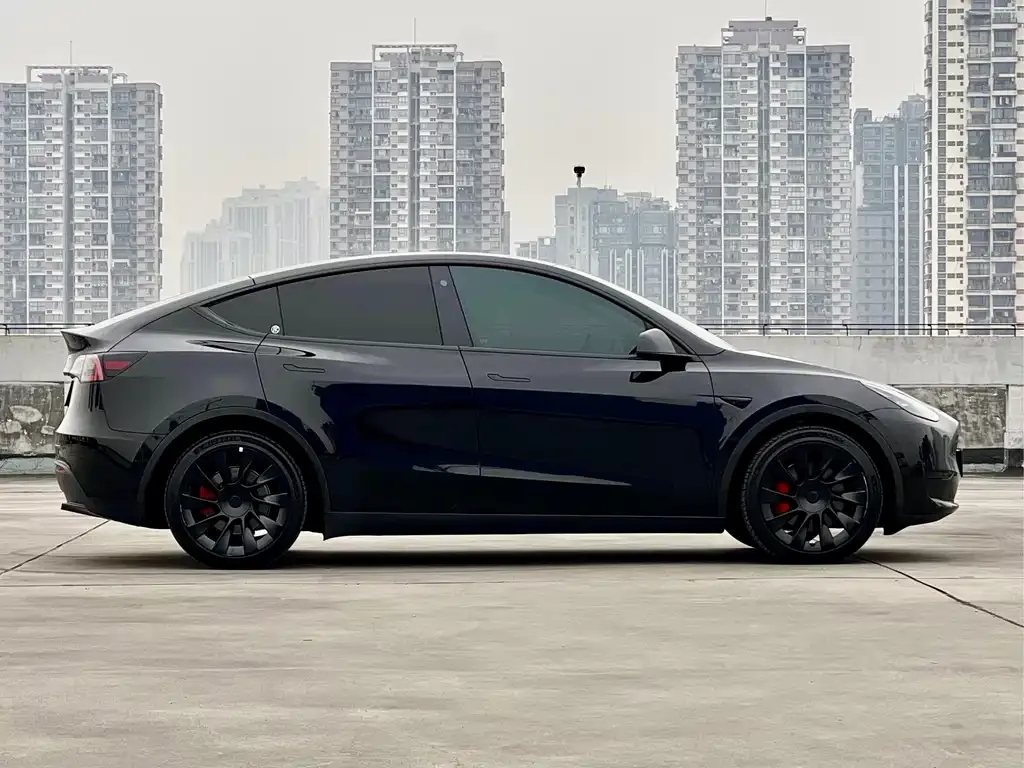 Tesla Model Y — фото 10
