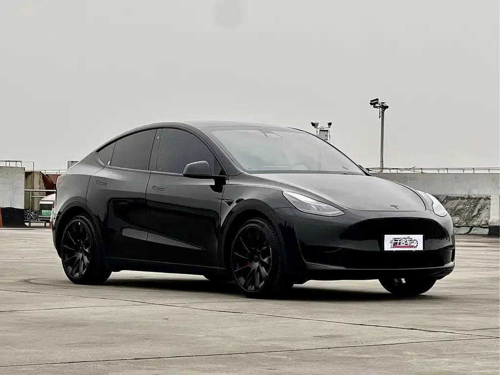 Tesla Model Y — фото 8