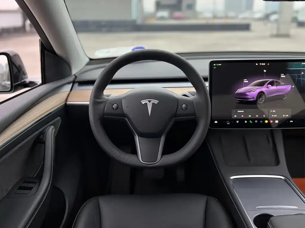 Tesla Model Y — фото 9