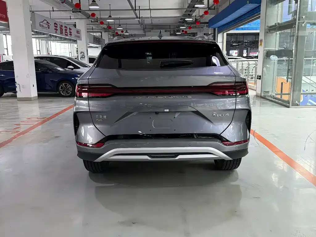 BYD PLUS New Energy — фото 8