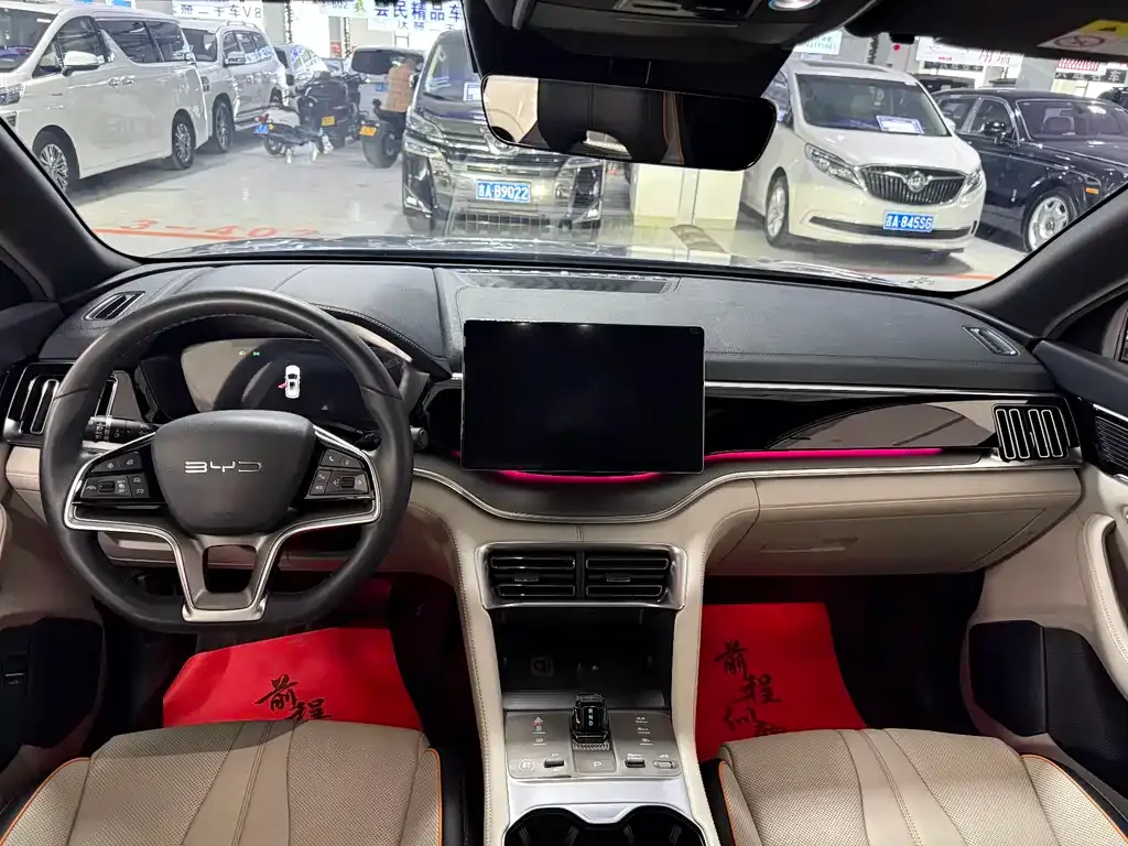BYD PLUS New Energy — фото 4